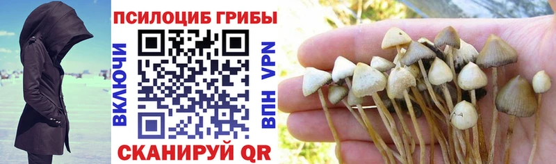 Псилоцибиновые грибы Magic Shrooms  Купить закладки  Плёс 
